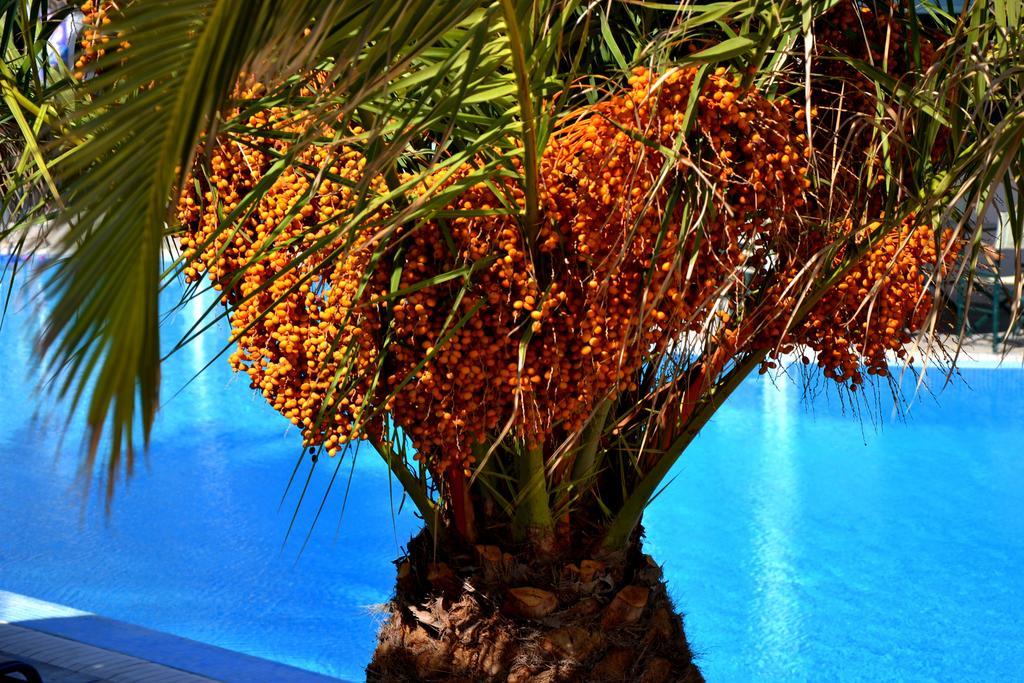 Zephyros Hotel Kamári المظهر الخارجي الصورة