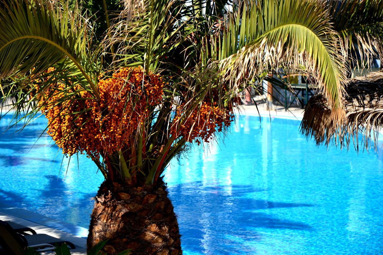 Zephyros Hotel Kamári المظهر الخارجي الصورة